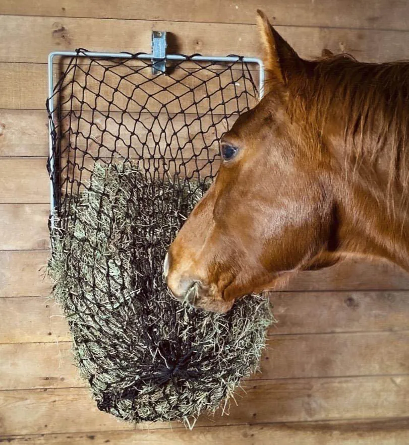 Hay Chix Free-Up Wall Mount Hay Feeder