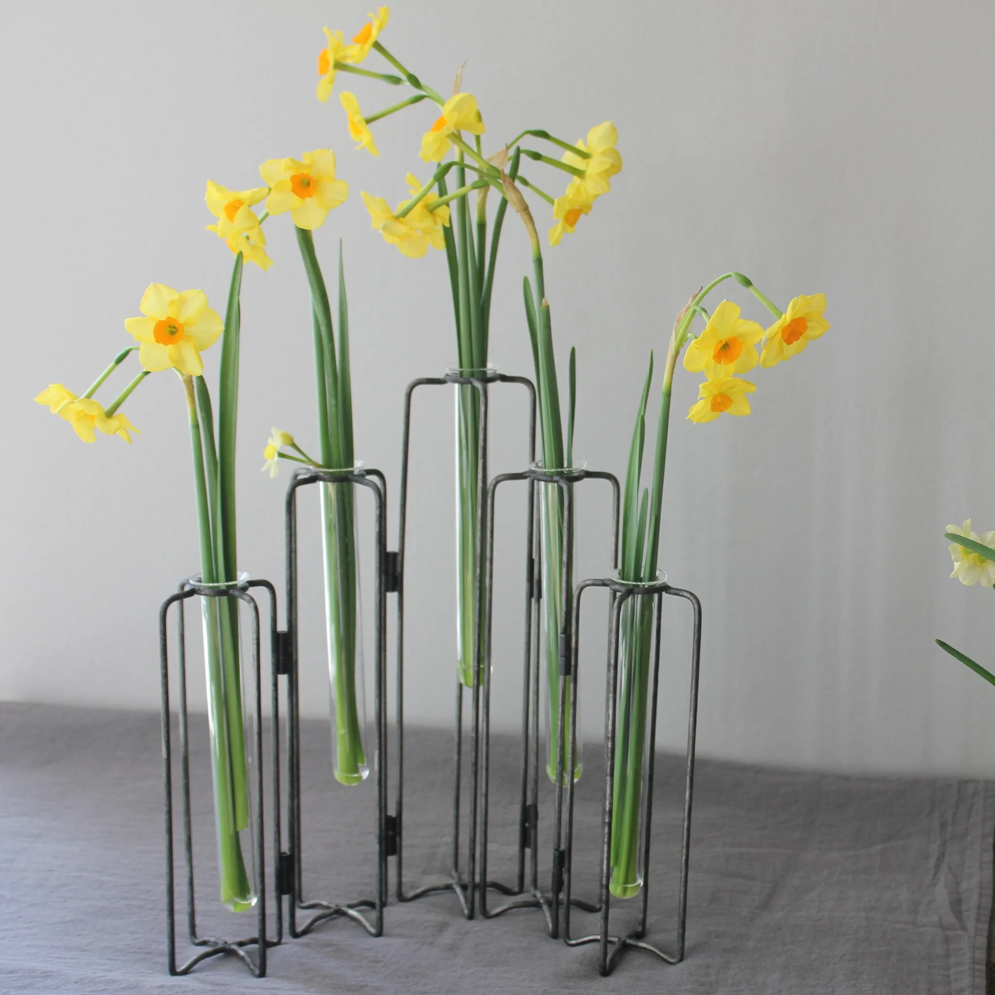 Test Tube Vases on Iron Stand - Three Styles