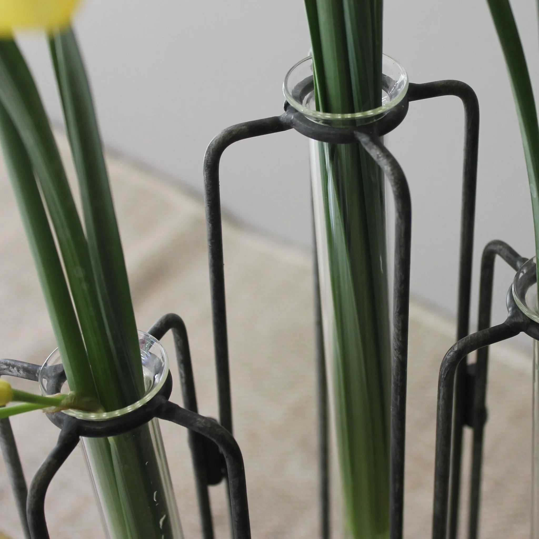 Test Tube Vases on Iron Stand - Three Styles