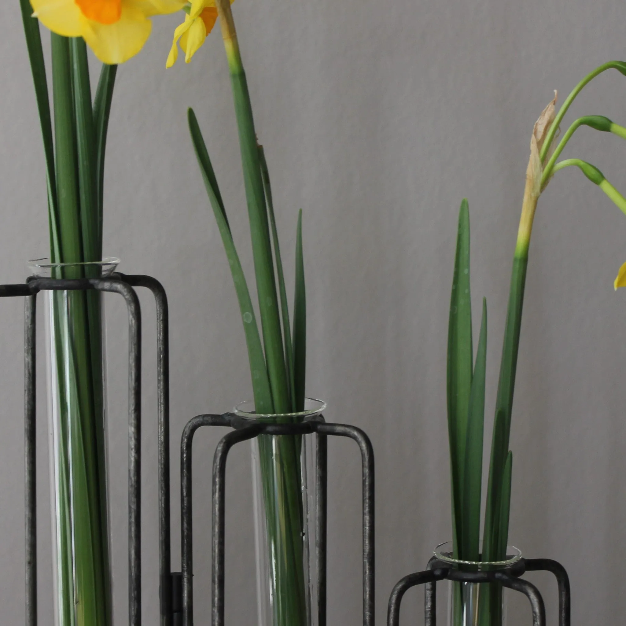 Test Tube Vases on Iron Stand - Three Styles