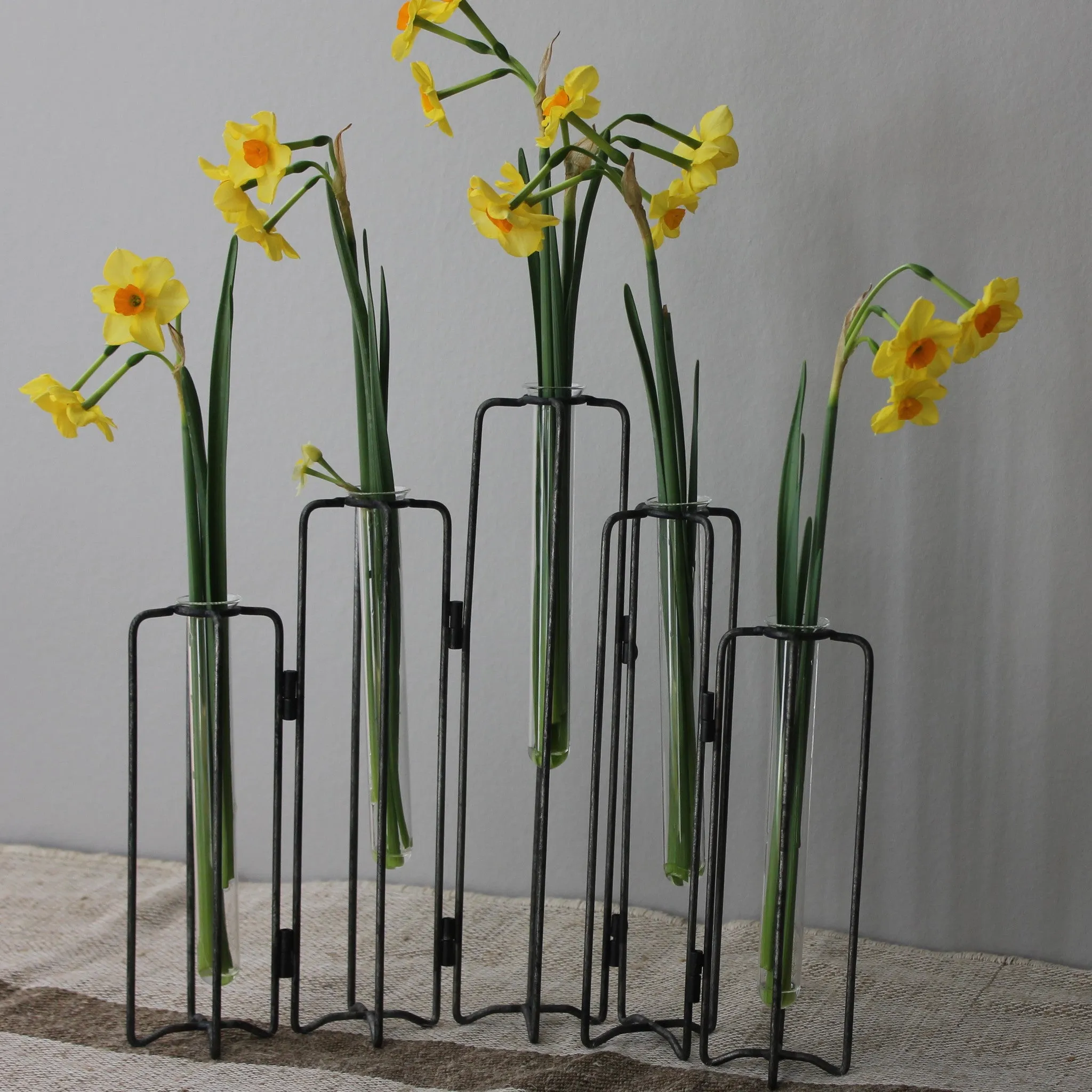 Test Tube Vases on Iron Stand - Three Styles