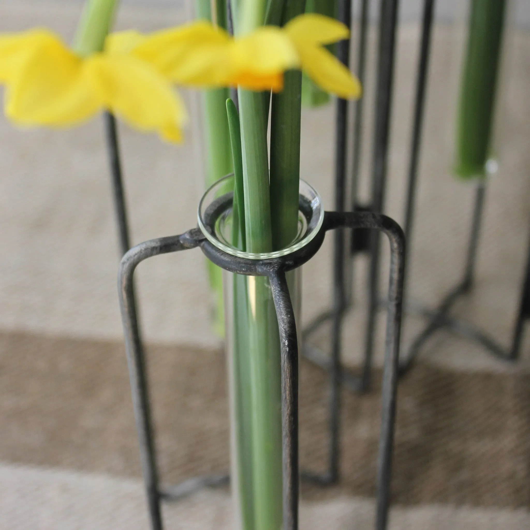 Test Tube Vases on Iron Stand - Three Styles